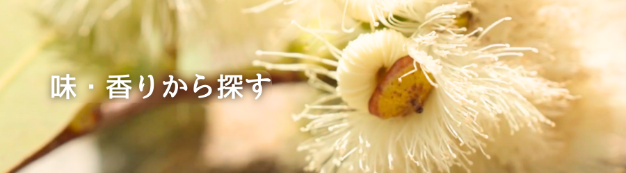 味・香りから探す
