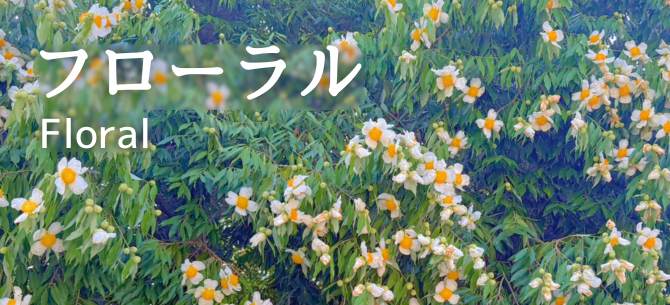 フローラル