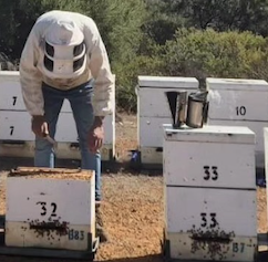 取り扱いブランド1