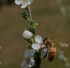 取り扱いブランド3