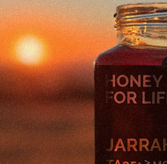 取り扱いブランド4