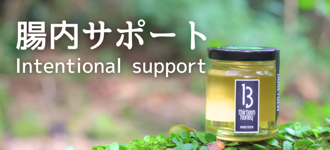 腸内サポート